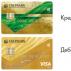 Mga katangian ng Visa Gold credit card